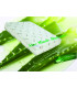 BioSleep Vitality Aloe Minde Matratze